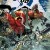 News du jour : AvX, DC Comics, Panini