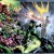 Guide de lecture Comics VO : semaine du 22 Mai 2013