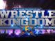 Wrestle Kingdom 13