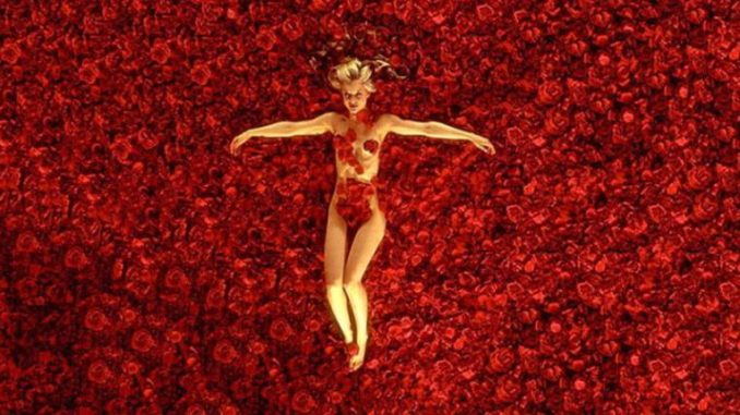 American Beauty